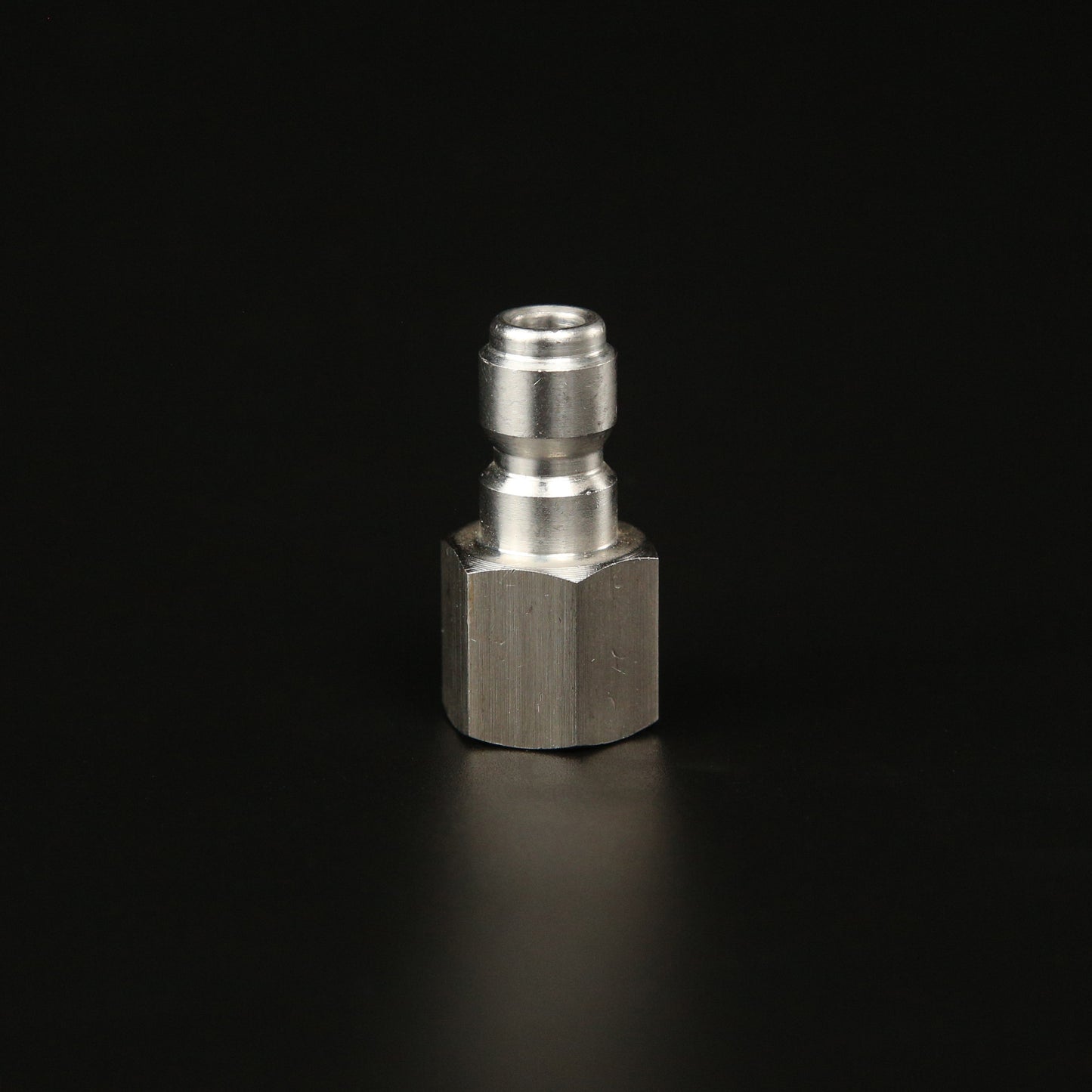 1/4" Stainless Steel Plug Female