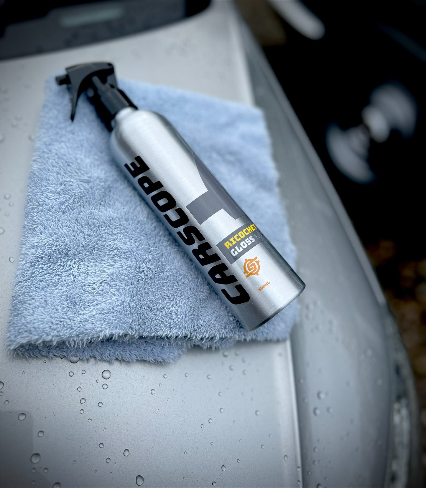 Ricochet Gloss Locker Paint Sealant