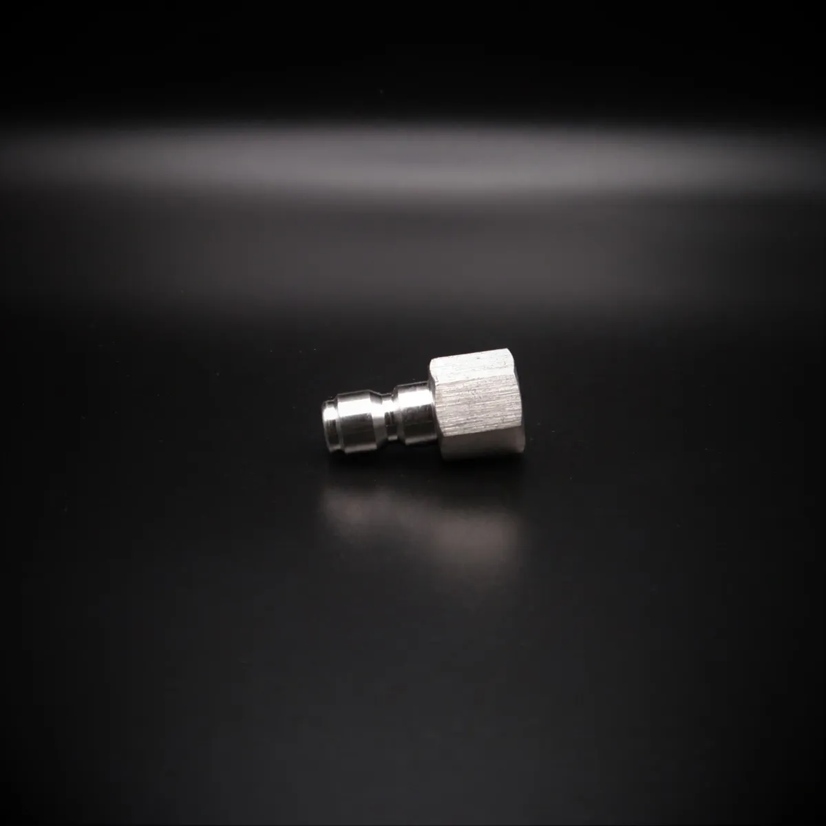 1/4" Stainless Steel Plug Female