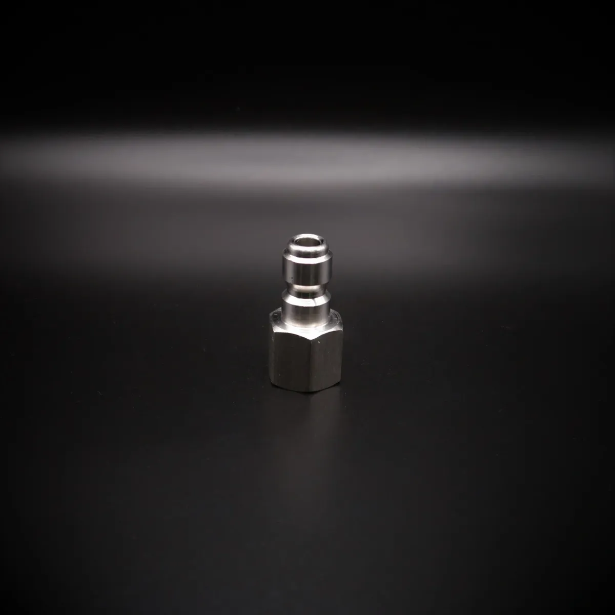 1/4" Stainless Steel Plug Female